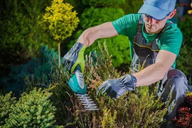 landscaping services Burt